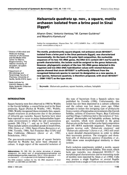 Haloarcula Quadrata Sp. Nov., a Square, Motile Archaeon Isolated from a Brine Pool in Sinai (Egypt)
