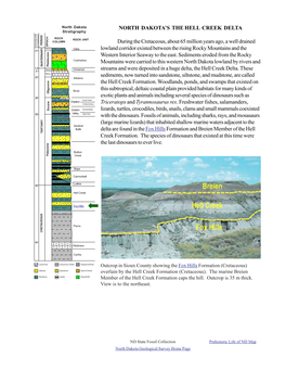 Fox Hills Formation and Breien Member of the Hell TERTIARY Creek Formation