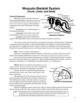 Musculo-Skeletal System