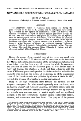 New and Old Scleractinian Corals from Jamaica