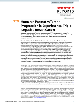 Humanin Promotes Tumor Progression in Experimental Triple Negative Breast Cancer Mariela A