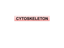 Cytoskeleton Cytoskeleton
