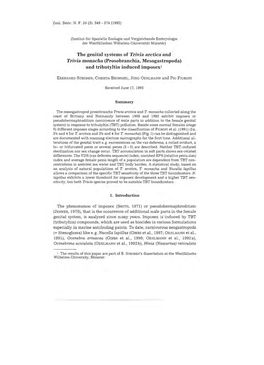 The Genital Systems of Trivia Arctica and Trivia Monacha (Prosobranchia, Mesogastropoda) and Tributyltin Induced Imposex1