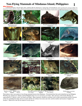Non-Flying Mammals of Mindanao Island, Philippines WEB VERSION 1 Lawrence R