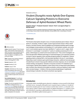 Virulent Diuraphis Noxia Aphids Over-Express Calcium Signaling Proteins to Overcome Defenses of Aphid-Resistant Wheat Plants