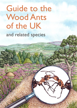 Guide to the Wood Ants of the UK
