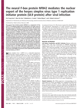 The Neural F-Box Protein NFB42 Mediates the Nuclear Export of the Herpes Simplex Virus Type 1 Replication Initiator Protein (UL9 Protein) After Viral Infection