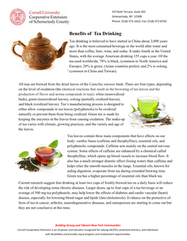 Benefits of Tea Drinking Tea Drinking Is Believed to Have Started in China About 2,000 Years Ago