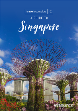 A GUIDE T0 Singapore Contents
