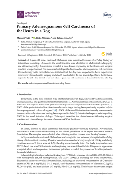 Primary Adenosquamous Cell Carcinoma of the Ileum in a Dog