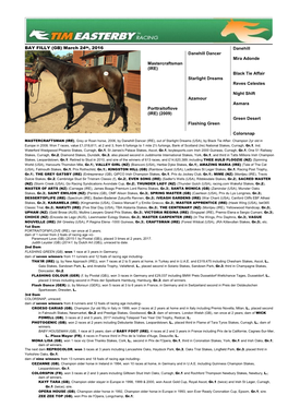 Bay Filly (IRE) – February 4Th, 2008