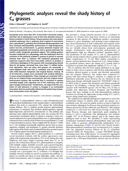 Phylogenetic Analyses Reveal the Shady History of C4 Grasses Erika J