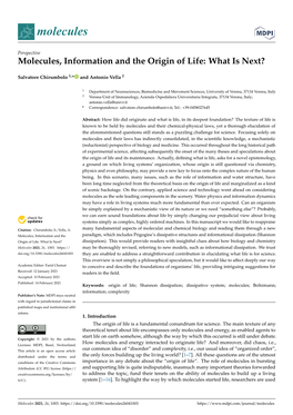 Molecules, Information and the Origin of Life: What Is Next?