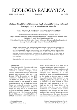 Data on Hatchlings of Caucasian Rock Lizard, Darevskia Valentini (Boettger, 1892) in Northeastern Anatolia