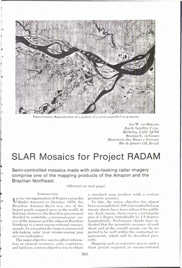 SLAR Mosaics for Project RADAM