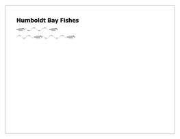 Humboldt Bay Fishes