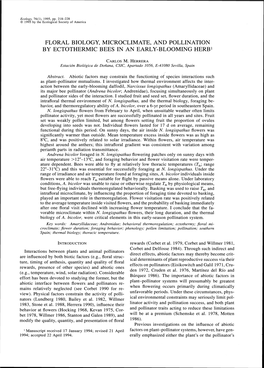 Floral Biology, Microclimate, and Pollination by Ectothermic Bees in an Early-Blooming Herb1