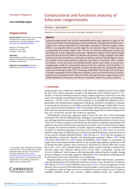 Constructional and Functional Anatomy of Ediacaran Rangeomorphs