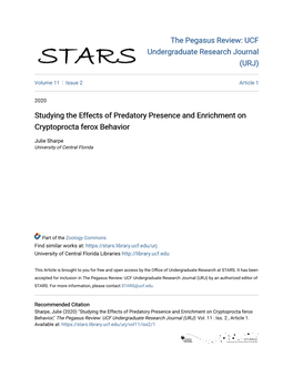 Studying the Effects of Predatory Presence and Enrichment on Cryptoprocta Ferox Behavior