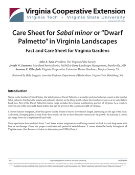 Care Sheet for Sabal Minor Or “Dwarf Palmetto” in Virginia Landscapes Fact and Care Sheet for Virginia Gardens