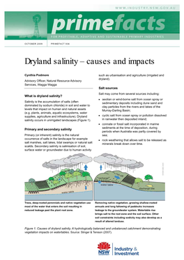 Dryland Salinity – Causes and Impacts