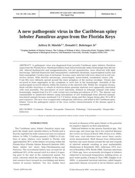 A New Pathogenic Virus in the Caribbean Spiny Lobster Panulirus Argus from the Florida Keys