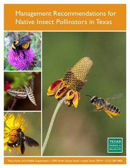 Management Recommendations for Native Insect Pollinators in Texas