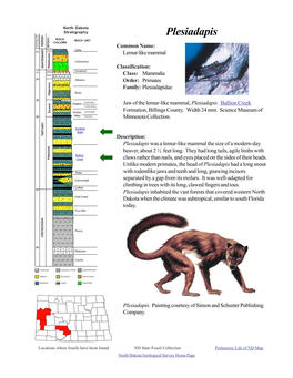 Plesiadapis ROCK ROCK UNIT COLUMN PERIOD EPOCH AGES MILLIONS of YEARS AGO Common Name: Holocene Oahe .01 Lemur-Like Mammal