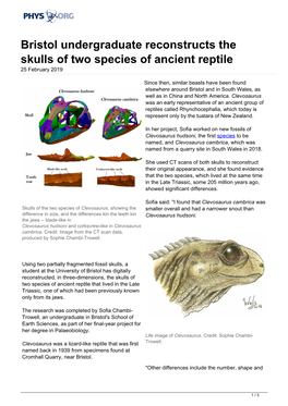 Bristol Undergraduate Reconstructs the Skulls of Two Species of Ancient Reptile 25 February 2019