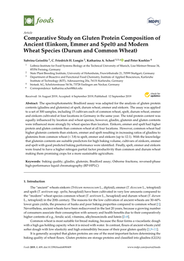 And Modern Wheat Species (Durum and Common Wheat)