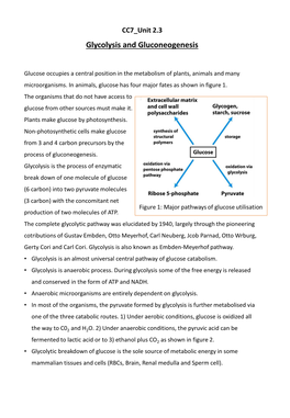 Glycolysis and Gluconeogenesis