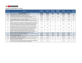 Proyectos De Inversión Pública - Enero 2021