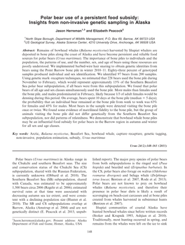 Polar Bear Use of a Persistent Food Subsidy: Insights from Non-Invasive Genetic Sampling in Alaska