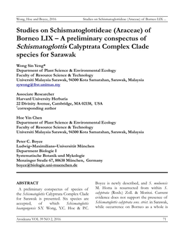 Studies on Schismatoglottideae (Araceae) of Borneo LIX – a Preliminary Conspectus of Schismatoglottis Calyptrata Complex Clade Species for Sarawak