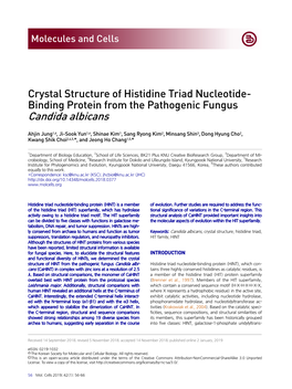 Crystal Structure of Histidine Triad Nucleotide- Binding Protein from the Pathogenic Fungus Candida Albicans