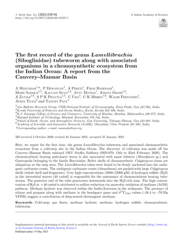 The First Record of the Genus Lamellibrachia (Siboglinidae