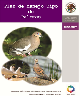 Plan De Manejo Tipo De Palomas