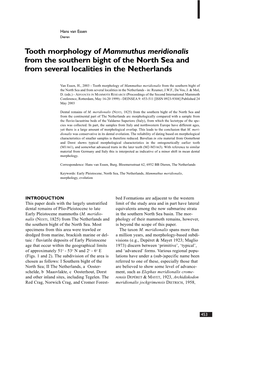 Tooth Morphology of Mammuthus Meridionalis from the Southern Bight of the North Sea and from Several Localities in the Netherlands