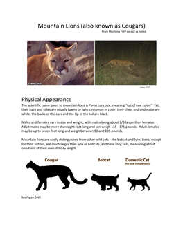 Mountain Lions (Also Known As Cougars) from Montana FWP Except As Noted