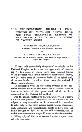 The Degenerations Kesulting from Lesions of Posterior