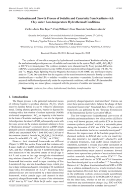 Nucleation and Growth Process of Sodalite and Cancrinite from Kaolinite-Rich Clay Under Low-Temperature Hydrothermal Conditions