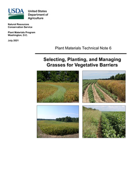 Selecting, Planting, and Managing Grasses for Vegetative Barriers