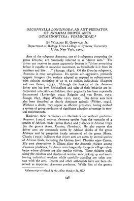 Oecophylla Longinoda, an Ant Predator of Anomma Driver Ants (Hymenoptera Formicidae)* by William H