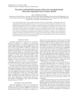 The Pelvic and Hind Limb Anatomy of the Stem-Sauropodomorph Saturnalia Tupiniquim (Late Triassic, Brazil)