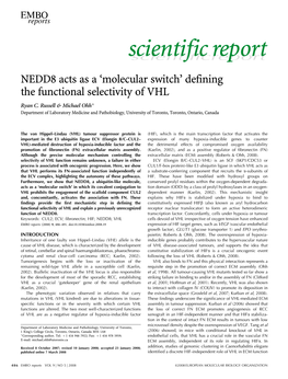 NEDD8 Acts As a 'Molecular Switch' Defining the Functional Selectivity Of