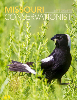 Missouri Conservationist July 2019