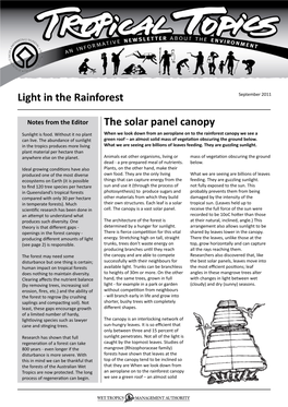 Light in the Rainforest the Solar Panel Canopy