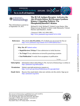 Phosphatidylinositol 3-Kinase Kinase-3 Signaling Pathway Via Akt