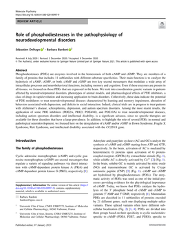 Role of Phosphodiesterases in the Pathophysiology of Neurodevelopmental Disorders