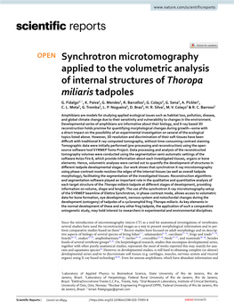 Synchrotron Microtomography Applied to the Volumetric Analysis of Internal Structures of Thoropa Miliaris Tadpoles G